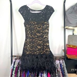 Bebe Sheer Illusion Lace Tiered Feather Dress